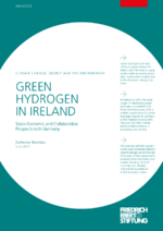 Green hydrogen in Ireland